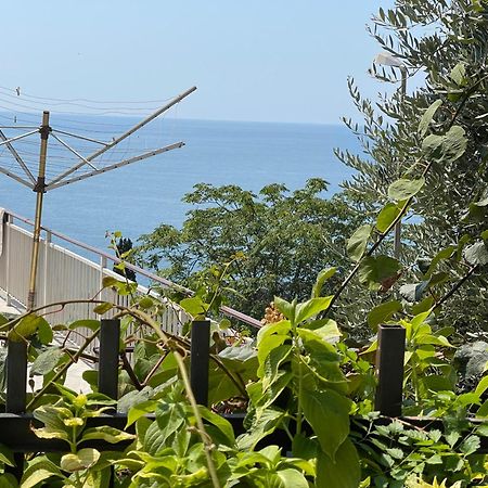 Apartments Hollaj Ulcinj Zewnętrze zdjęcie