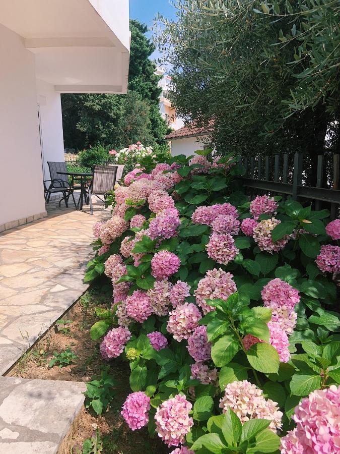 Apartments Hollaj Ulcinj Zewnętrze zdjęcie